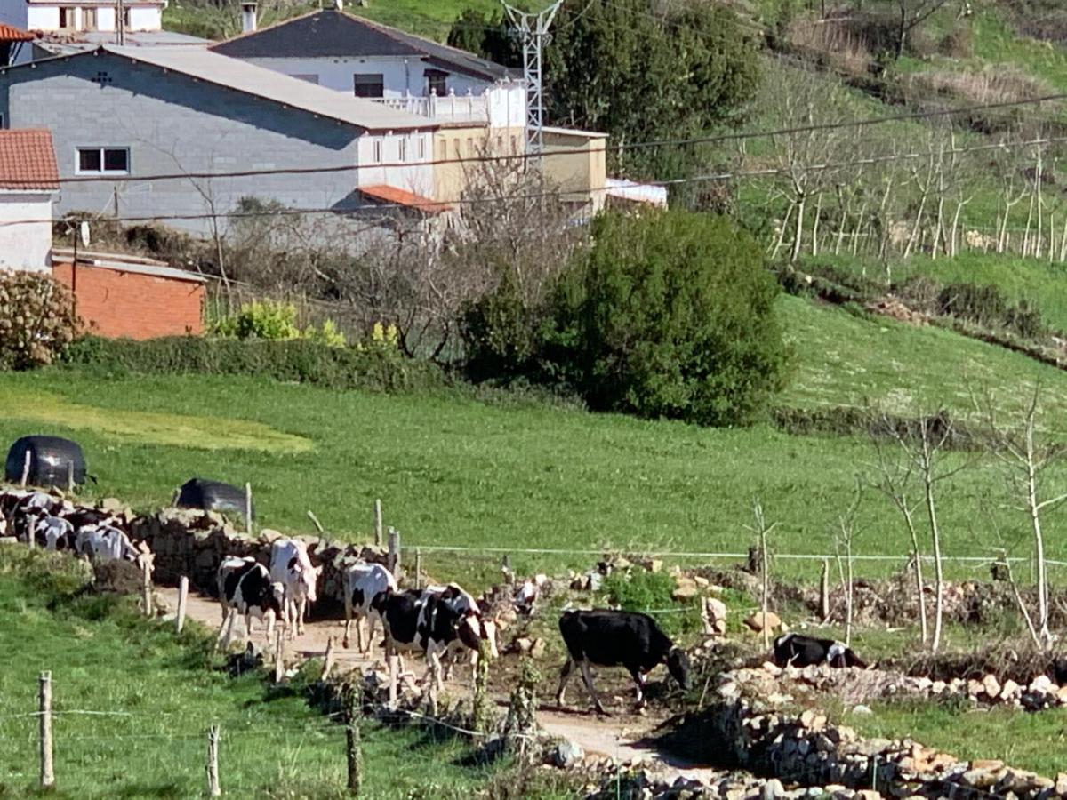 C'Genoveva Complejo Turistico Rural Caleacabo Villa Biescas  Kültér fotó
